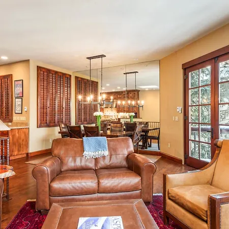 315 Park Avenue, Luxury Townhouse With River Views In Aspen-3
